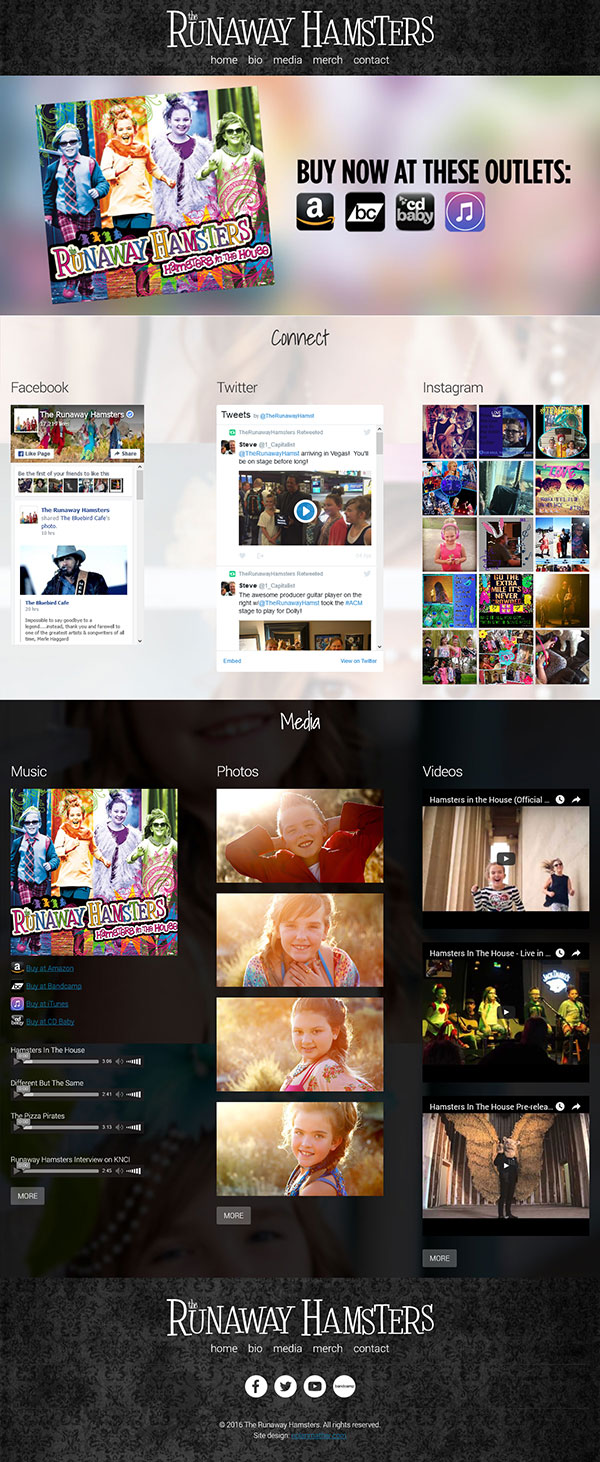 The Runaway Hamsters Country Pop Band